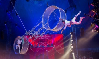 Article Circo Orfei Experience