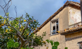 Article old house and lemon tree in Nafplio