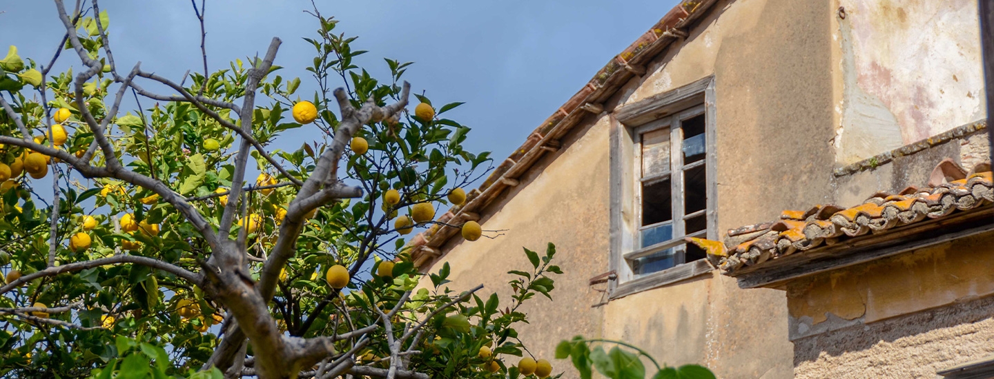 old house and lemon tree in Nafplio